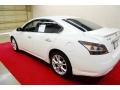 Winter Frost White - Maxima 3.5 SV Photo No. 4