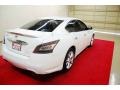 Winter Frost White - Maxima 3.5 SV Photo No. 6
