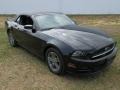 Black - Mustang V6 Premium Convertible Photo No. 4