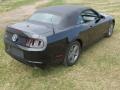 Black - Mustang V6 Premium Convertible Photo No. 5