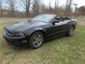 Black - Mustang V6 Premium Convertible Photo No. 6