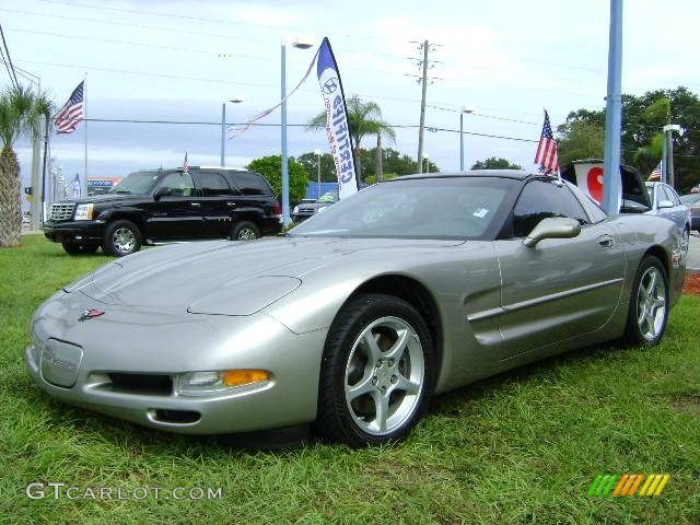 2001 Corvette Coupe - Light Pewter Metallic / Light Gray photo #1