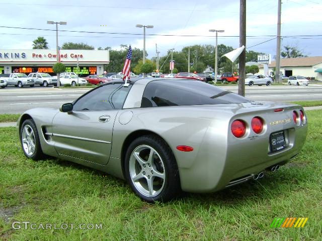 2001 Corvette Coupe - Light Pewter Metallic / Light Gray photo #3