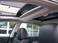 Ocean Gray - Maxima 3.5 SV Photo No. 12