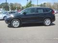 Crystal Black Pearl - CR-V EX-L Photo No. 3