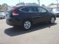 Crystal Black Pearl - CR-V EX-L Photo No. 5