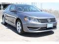 Platinum Gray Metallic - Passat 2.5L SE Photo No. 1