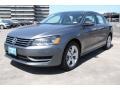 Platinum Gray Metallic - Passat 2.5L SE Photo No. 3