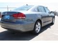 Platinum Gray Metallic - Passat 2.5L SE Photo No. 9