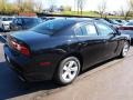 Pitch Black - Charger SE Photo No. 3