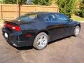 2013 Pitch Black Dodge Charger R/T Plus  photo #3