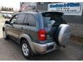 Flint Mica - RAV4 4WD Photo No. 6