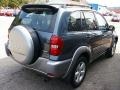 Flint Mica - RAV4 4WD Photo No. 9