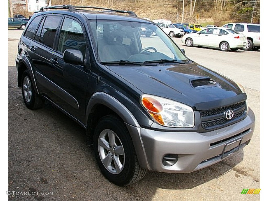 Flint Mica 2004 Toyota RAV4 4WD Exterior Photo #79730551