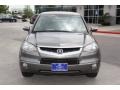 Polished Metal Metallic - RDX  Photo No. 3