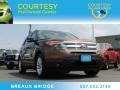 2012 Golden Bronze Metallic Ford Explorer XLT  photo #1