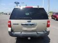 Pueblo Gold Metallic - Expedition XLT Photo No. 3