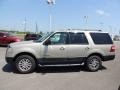 Pueblo Gold Metallic - Expedition XLT Photo No. 5