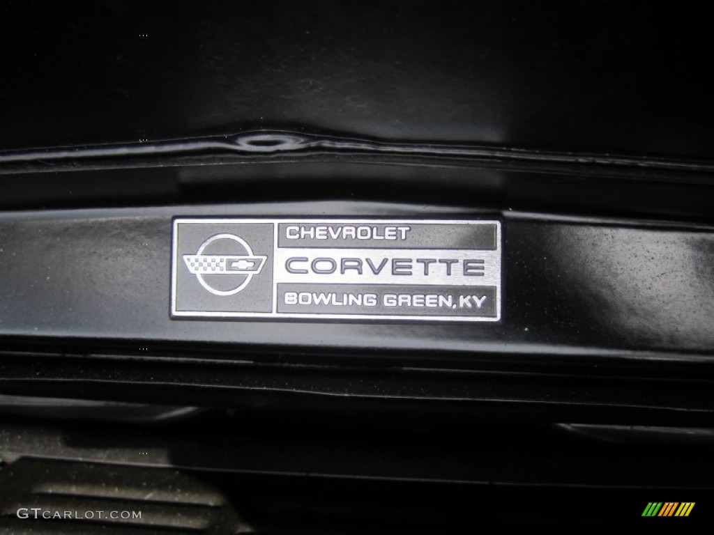 1991 Corvette ZR1 - Dark Red Metallic / Black photo #52