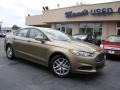 2013 Ginger Ale Metallic Ford Fusion SE 1.6 EcoBoost  photo #27