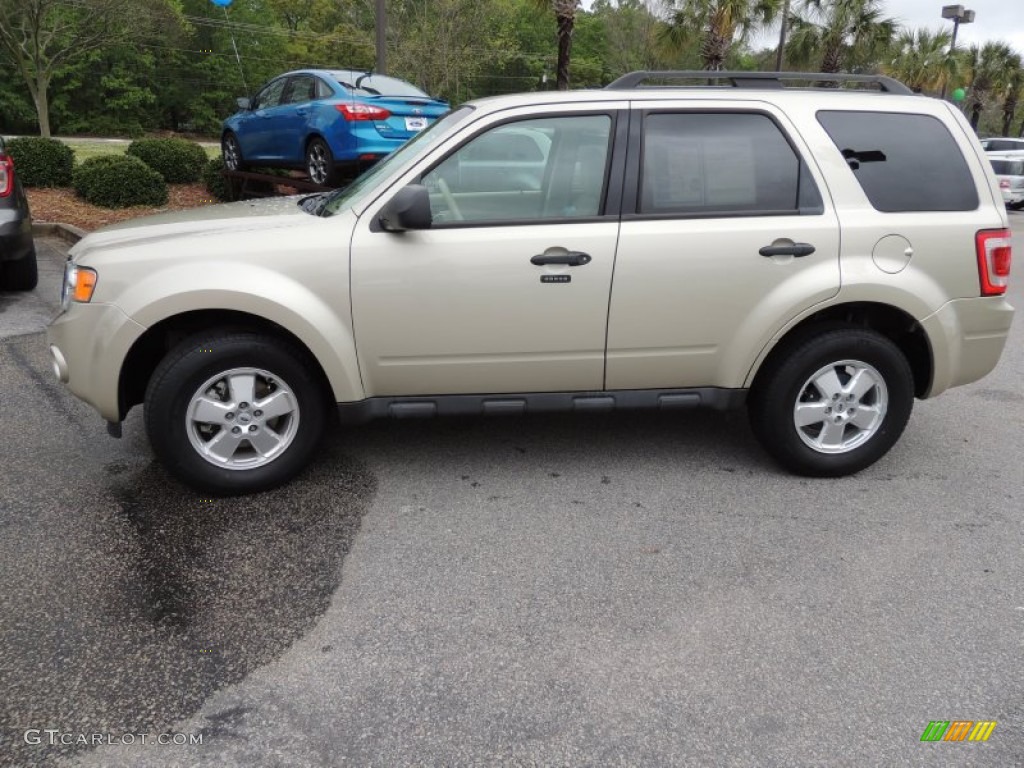 Gold Leaf Metallic 2011 Ford Escape XLT Exterior Photo #79766107