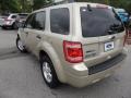 2011 Gold Leaf Metallic Ford Escape XLT  photo #14