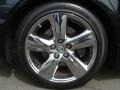 2010 Lexus LS 460 L AWD Wheel and Tire Photo