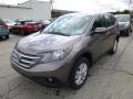 2013 Urban Titanium Metallic Honda CR-V EX AWD  photo #7