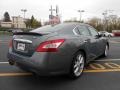 Precision Gray Metallic - Maxima 3.5 SV Sport Photo No. 5