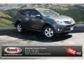 2013 Magnetic Gray Metallic Toyota RAV4 XLE AWD  photo #1