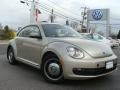 Moonrock Silver Metallic - Beetle 2.5L Photo No. 1