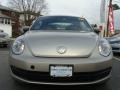 Moonrock Silver Metallic - Beetle 2.5L Photo No. 2
