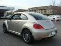 Moonrock Silver Metallic - Beetle 2.5L Photo No. 4