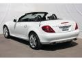 2010 Arctic White Mercedes-Benz SLK 300 Roadster  photo #10