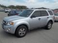 Ingot Silver Metallic - Escape XLT Photo No. 1