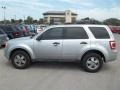 Ingot Silver Metallic - Escape XLT Photo No. 2