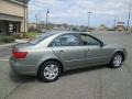Natural Khaki Green - Sonata GLS Photo No. 8