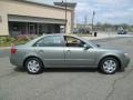 Natural Khaki Green - Sonata GLS Photo No. 9