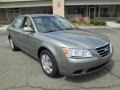 Natural Khaki Green 2009 Hyundai Sonata GLS Exterior