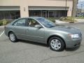 Natural Khaki Green - Sonata GLS Photo No. 11