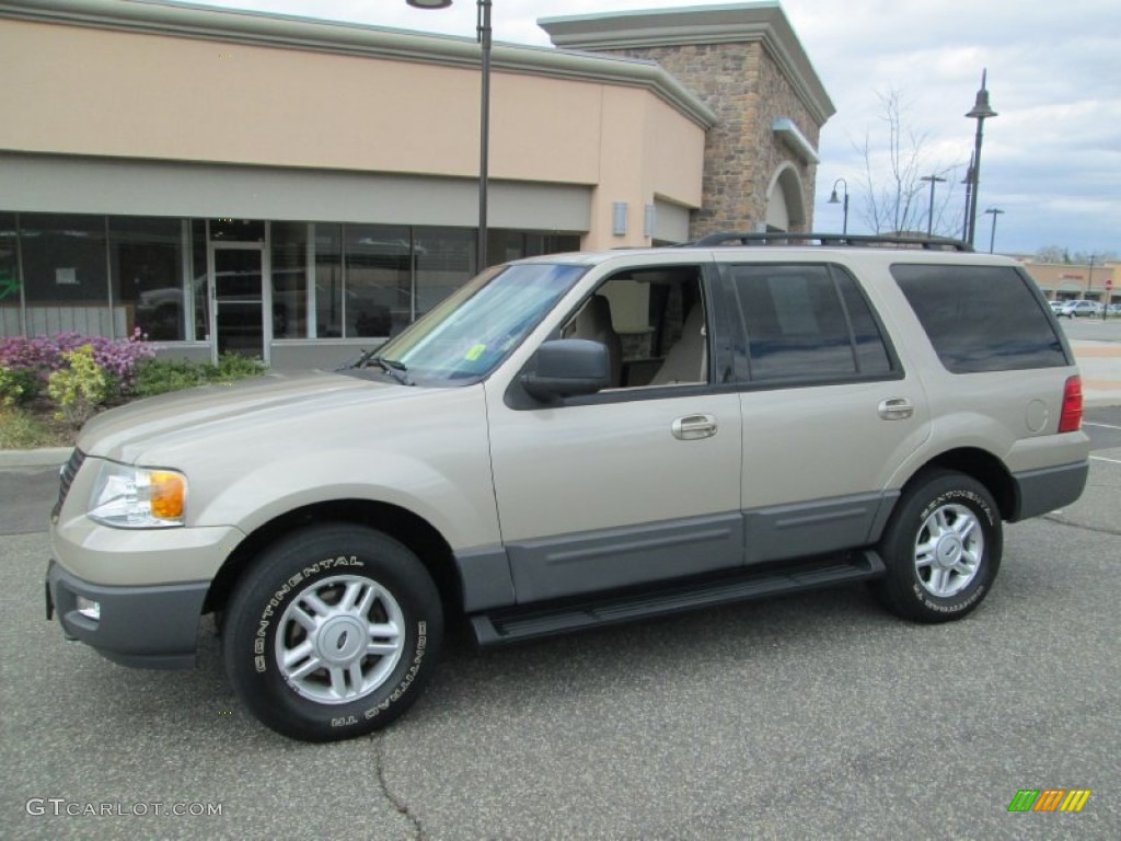Pueblo Gold Metallic 2005 Ford Expedition XLT 4x4 Exterior Photo #79820045