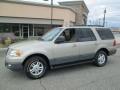 Pueblo Gold Metallic 2005 Ford Expedition XLT 4x4 Exterior