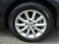 Magnetic Gray Metallic - Camry XLE Photo No. 14