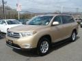 Sandy Beach Metallic - Highlander SE 4WD Photo No. 3