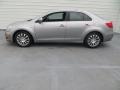 Platinum Silver Metallic - Kizashi SE Photo No. 6