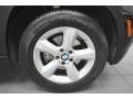 2009 BMW X5 xDrive30i Wheel and Tire Photo