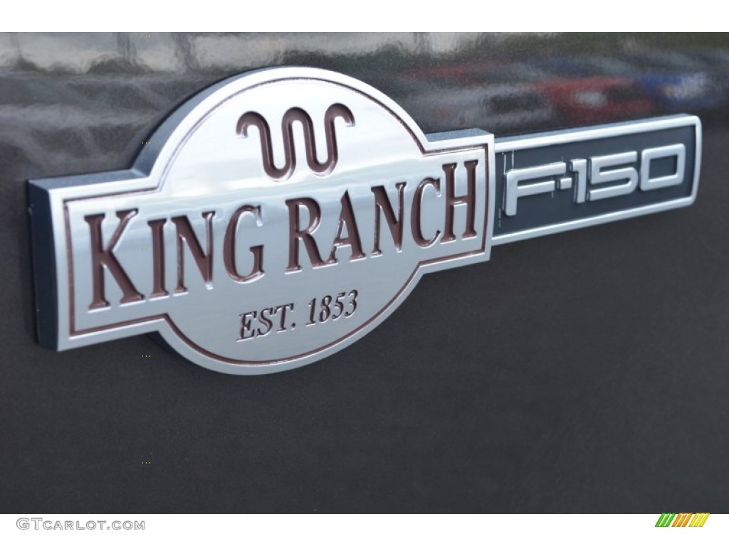 2006 F150 King Ranch SuperCrew - Dark Stone Metallic / Castano Brown Leather photo #18