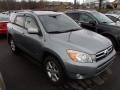 Everglade Metallic - RAV4 Limited V6 4WD Photo No. 1