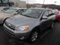 Everglade Metallic - RAV4 Limited V6 4WD Photo No. 3