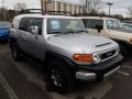 Titanium Metallic - FJ Cruiser 4WD Photo No. 1